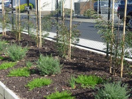 Macro_Gardens_Front_Page_C